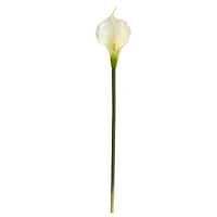 White Calla Lily Flower, 12ct.