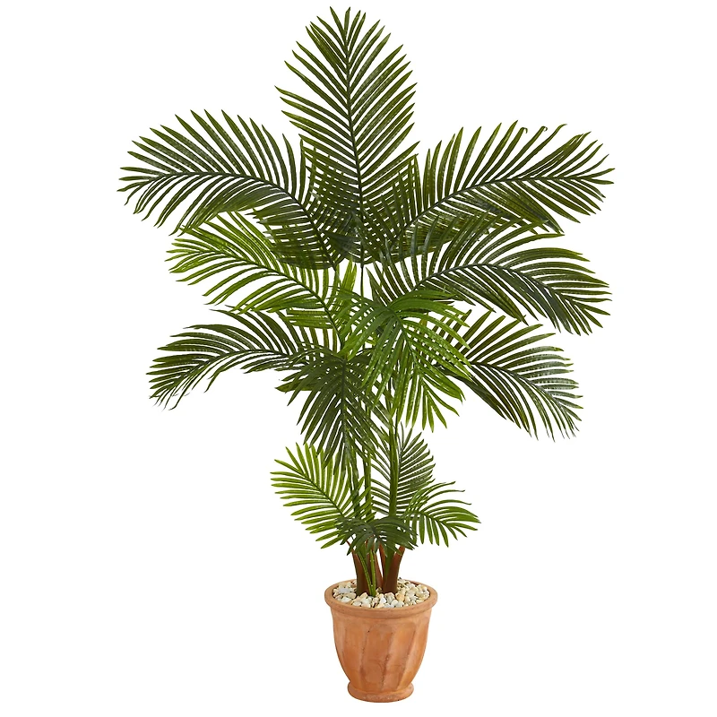 5ft. Areca Palm Tree in Terracotta Planter