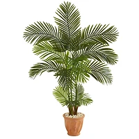 5ft. Areca Palm Tree in Terracotta Planter