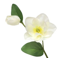 30" Cream Helleborus Stem by Ashland®