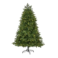 6ft. Pre-Lit Wyoming Fir Artificial Christmas Tree with Clear LED Lights 