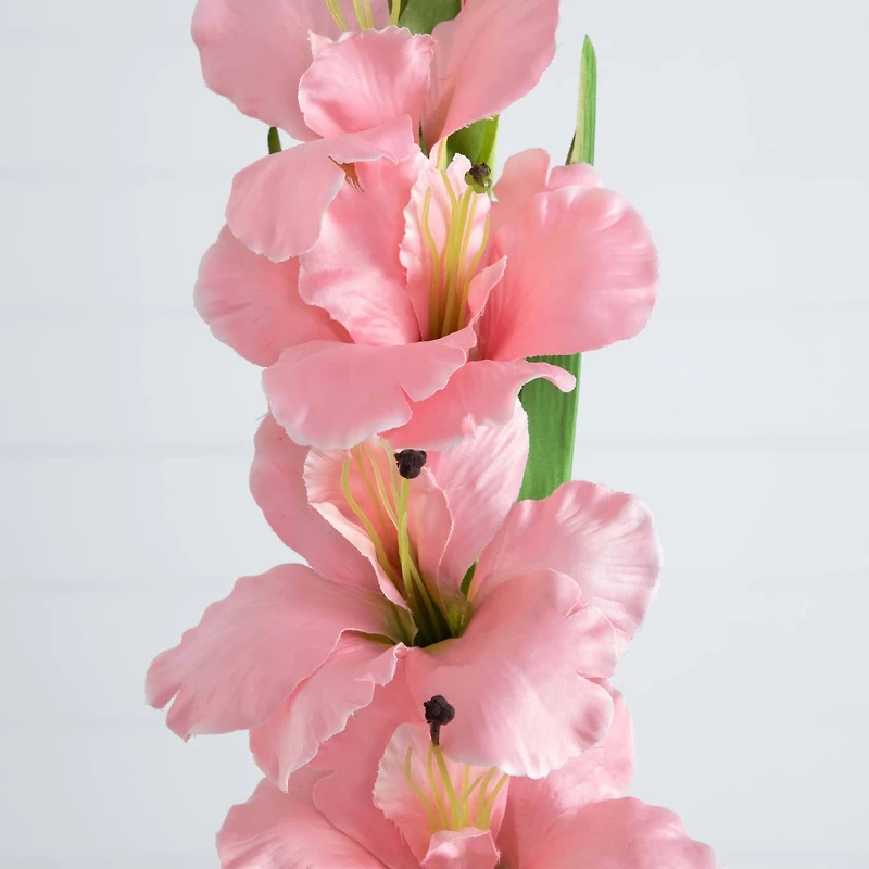 45" Pink Gladiolus Flower Stems, 3ct.