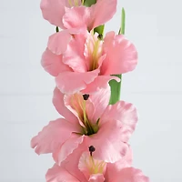 45" Pink Gladiolus Flower Stems, 3ct.