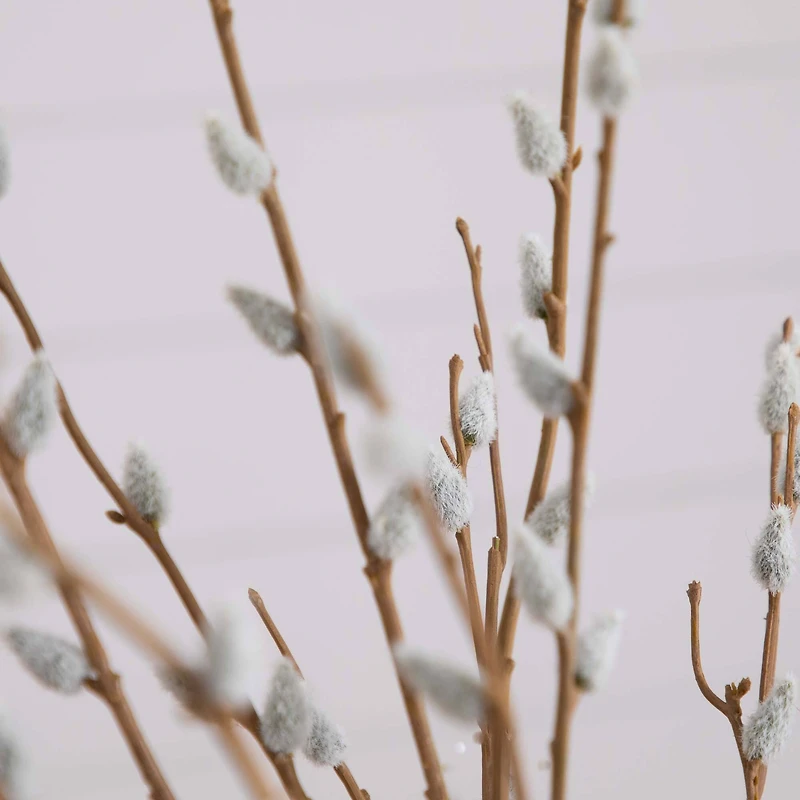 2ft. Pussy Willow Arrangement in Modern Metal Black Vase