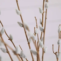 2ft. Pussy Willow Arrangement in Modern Metal Black Vase