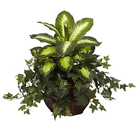 20" Dieffenbachia & Ivy In Decorative Planter