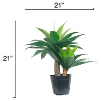 20" Potted Green Agave Plant by Ashland®
