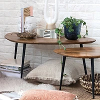 Hello Honey® Mid-Century Modern Wood & Metal Organic Shaped Nesting Table Set