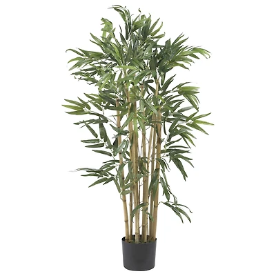 3ft. Potted Bambusa Bamboo Tree