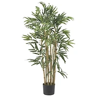 3ft. Potted Bambusa Bamboo Tree