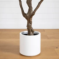 8ft. Artificial Grand Olive Tree in White Decorative Planter