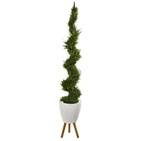 6.2ft. Cypress Artificial Spiral Tree in White Planter with Stand