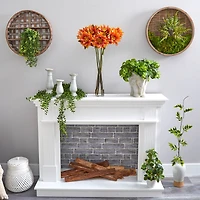 2.5ft. Coral Lotus Arrangement in Cylinder Vase