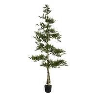 6ft. Potted Artificial Cedar Tree