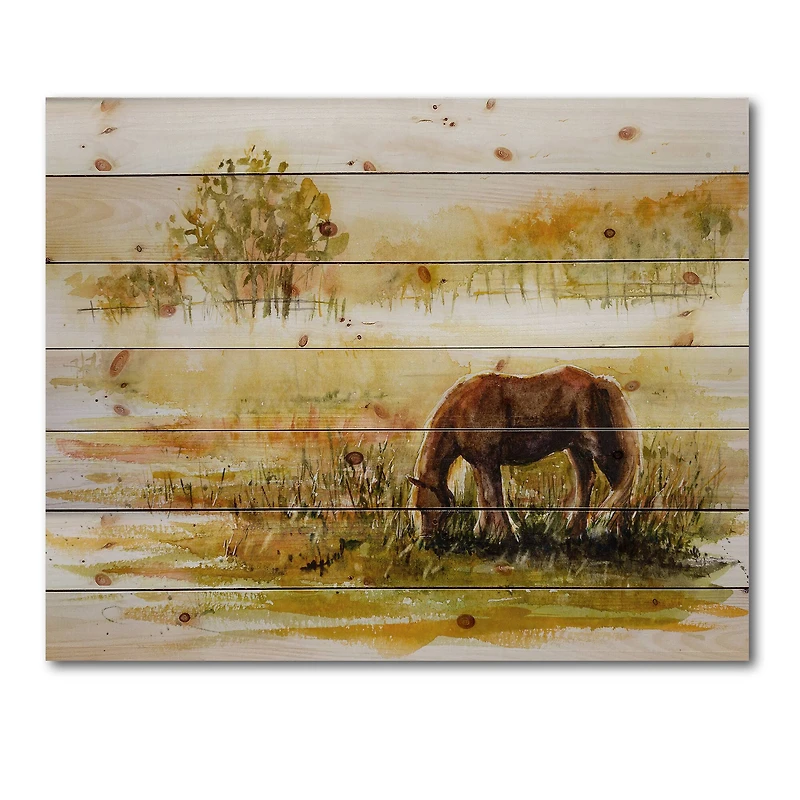 Designart - Horse Grazing On A Meadow