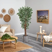 6ft. Variegated Ficus Tree in Handmade Black & White Natural Jute & Cotton Planter