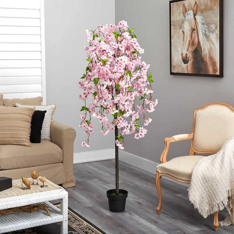 5ft. Potted Cherry Blossom Tree