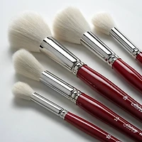 Silver Brush Limited Silver Mops™ 5 Piece Round White Brush Set