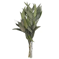 21" Green Willow Eucalyptus by Ashland®