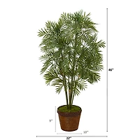 3.8ft. Parlor Palm Tree in Coiled Rope Planter