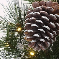 24'' LED Whitter Pine Wreath