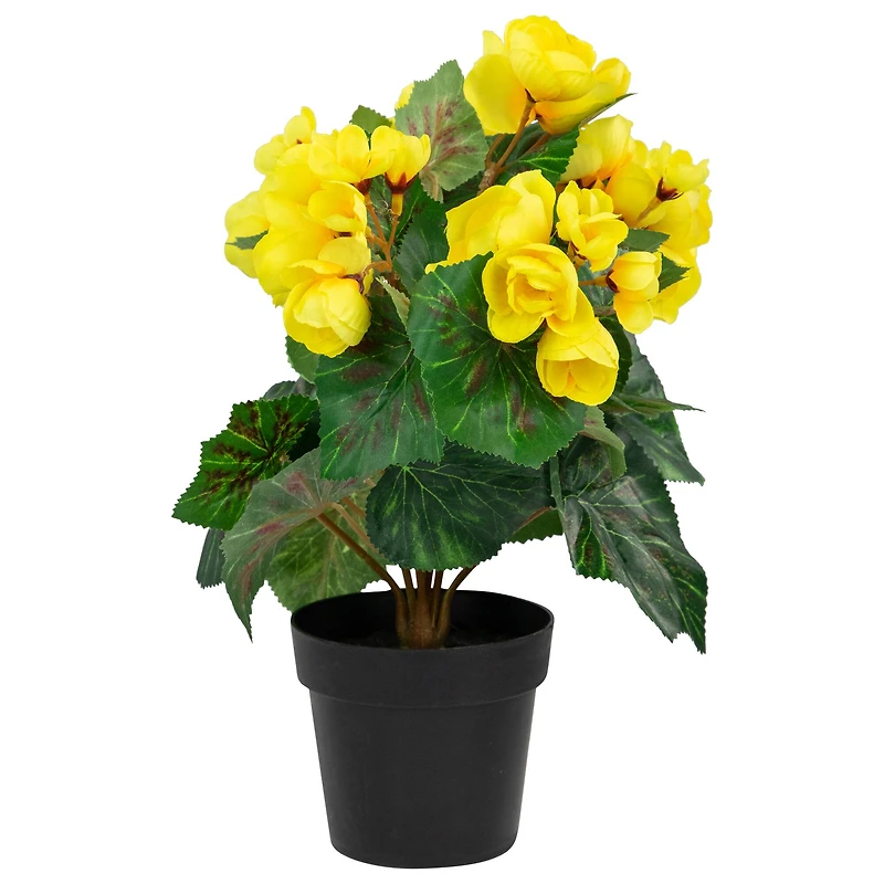 11" Yellow Potted Silk Begonia Floral Arrangement