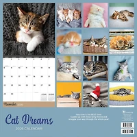 2026 Cat Dreams Wall Calendar