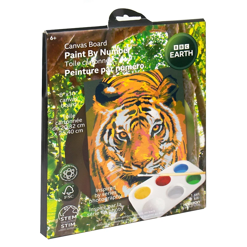BBC Earth Canvas Board Tiger Paint by Number