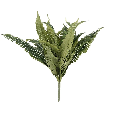 12 Pack: Boston Fern Bush by Ashland®