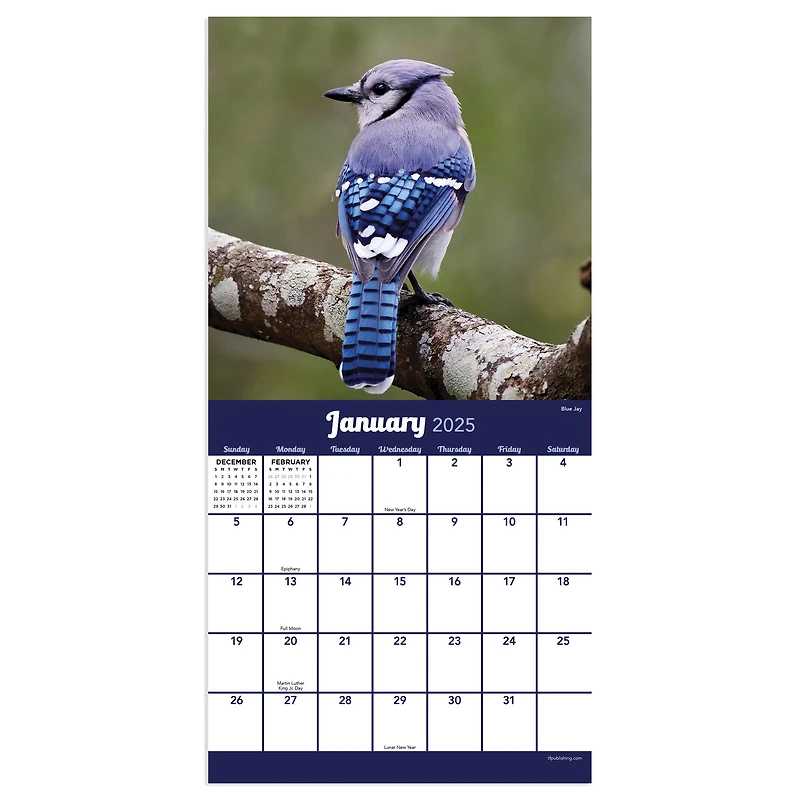 TF Publishing 2025 Backyard Birds Mini Calendar