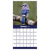TF Publishing 2025 Backyard Birds Mini Calendar