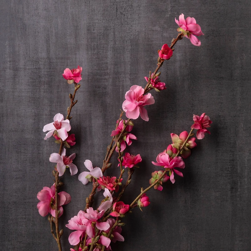 12 Pack: Peach Blossom Stem by Ashland