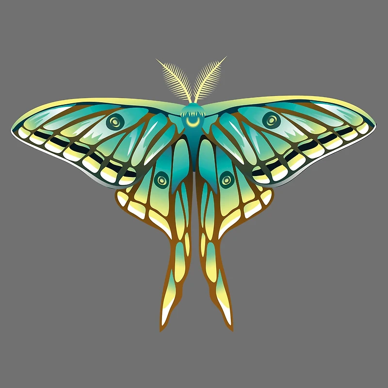 4" x 4" Moths Canvas Painting Kit by Craft Smart®