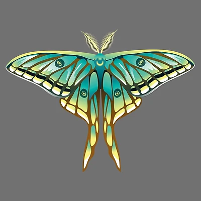 4" x 4" Moths Canvas Painting Kit by Craft Smart®