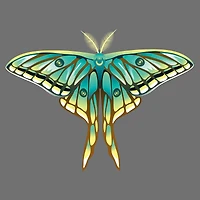 4" x 4" Moths Canvas Painting Kit by Craft Smart®