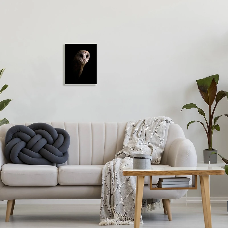 Stupell Industries Intense Barn Owl Black Shadow Photography Wall Plaque Art