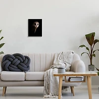 Stupell Industries Intense Barn Owl Black Shadow Photography Wall Plaque Art