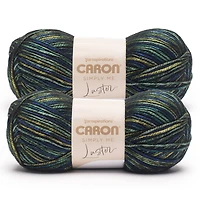 2 Pack Caron® Simply Me Luster™ Yarn