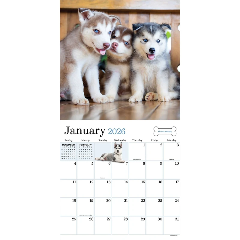 2026 Puppies Wall Calendar