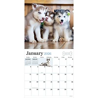 2026 Puppies Wall Calendar