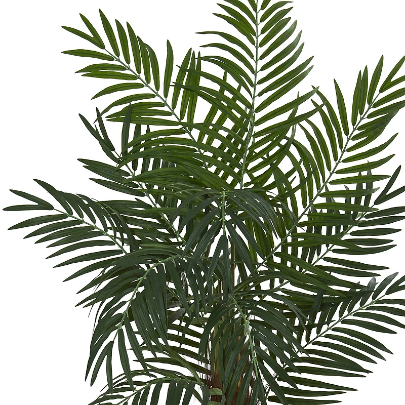 5.5ft. Areca Palm Tree in White Tower Planter