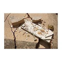 Dig It Up! - Dino Model: Tyrannosaurus Rex