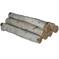 Wilson® Enterprises 23" to 24" White Birch Log Bundle