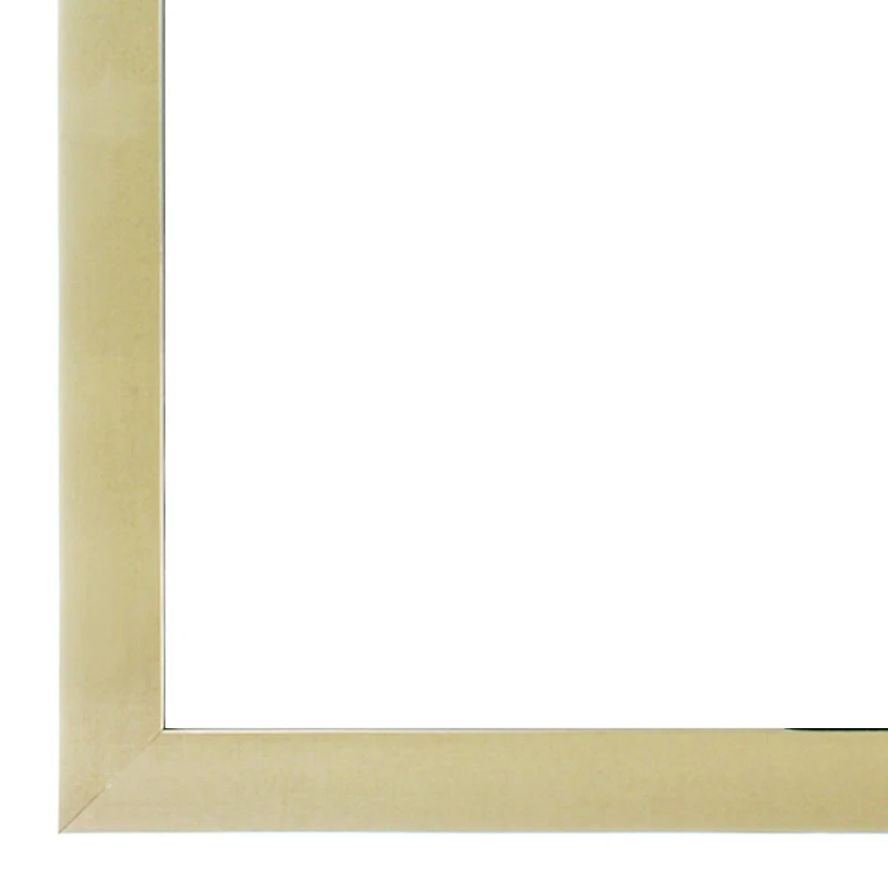 Gallery Champagne Wall Frame with Double Mat by Studio Décor®