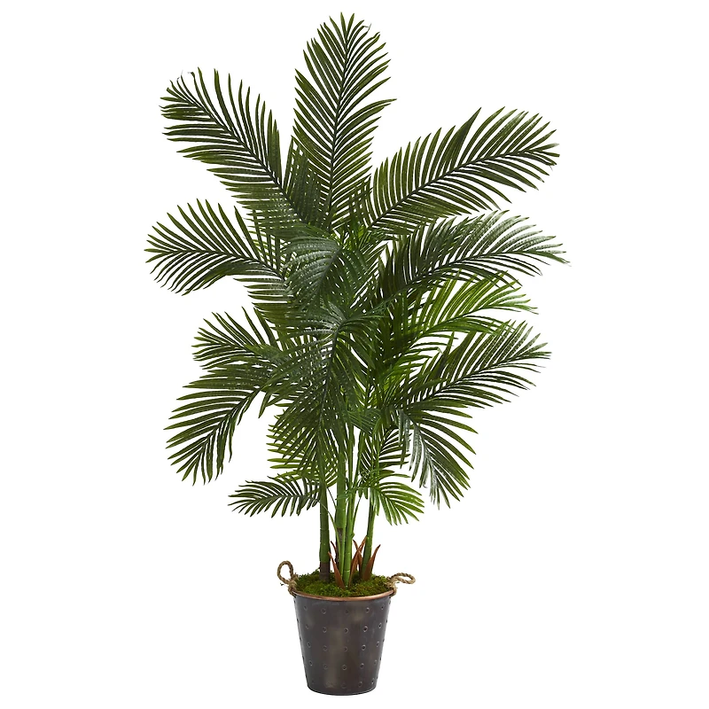 5.75ft. Areca Palm Tree in Decorative Metal Pail with Rope