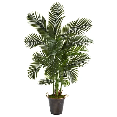 5.75ft. Areca Palm Tree in Decorative Metal Pail with Rope