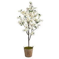 6ft. Cherry Blossom Tree in Farmhouse Planter