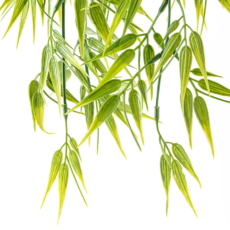 Hanging Bamboo Fern Bush Fern Collection by Ashland®