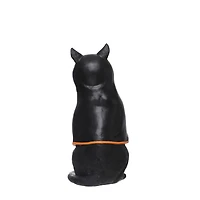 14" Cat with Cape Tabletop Décor by Ashland®