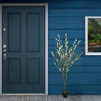 5.5ft. Potted Green Olive Tree by Ashland®
